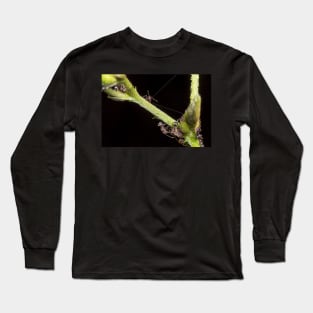 Unique and organic photo of a swarm of ants tending a treehopper Long Sleeve T-Shirt